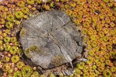 20230629_110524